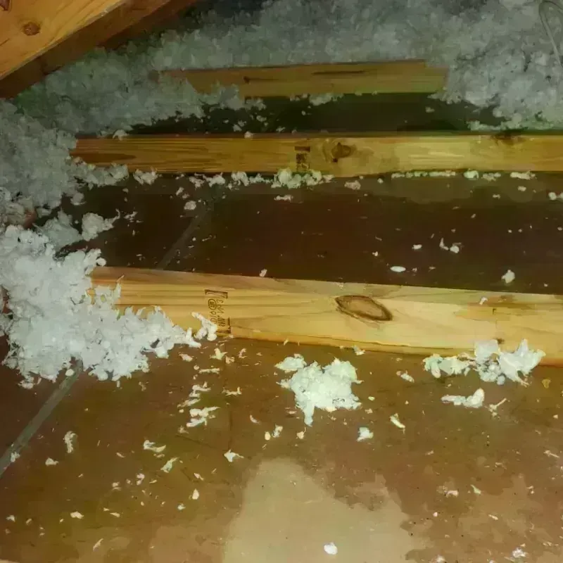 Attic Water Damage in Monson Center, MA